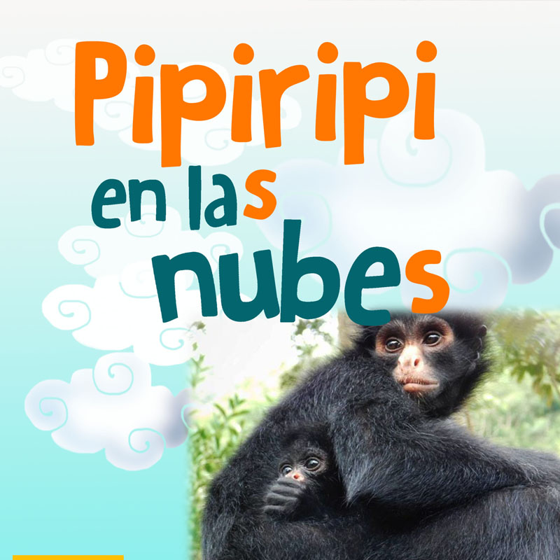 Pipiripi en las Nubes\/ los Monos